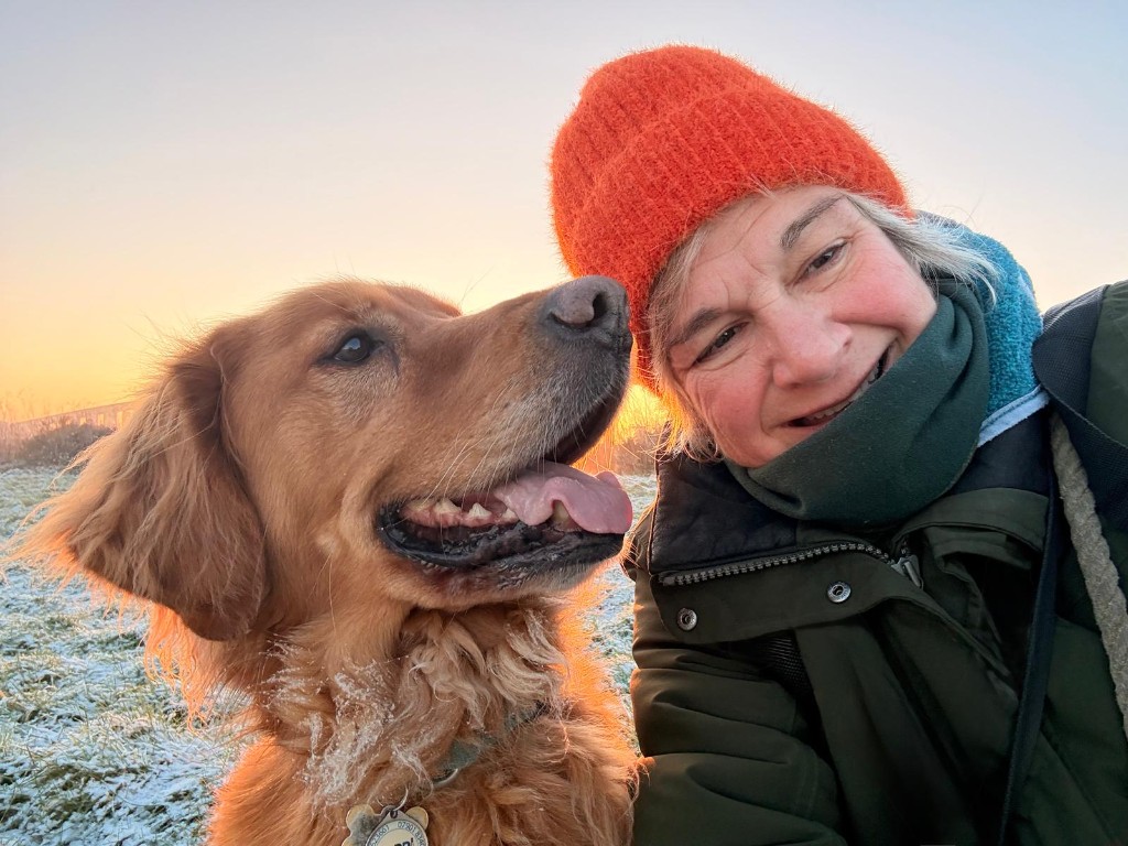 Happy golden retriever